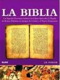 A Bíblia Guia Ilustrado das Escrituras Sagradas História Literatura / J. R. Porter