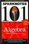 Algebra Sparknotes 101 / Anna Medvedovsky
